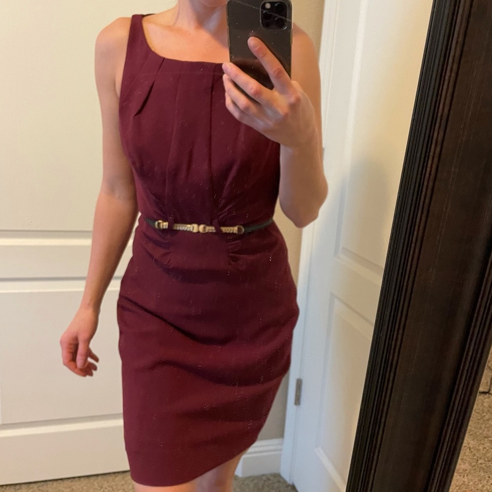 Burgundy cinched waist, belted dress NWT